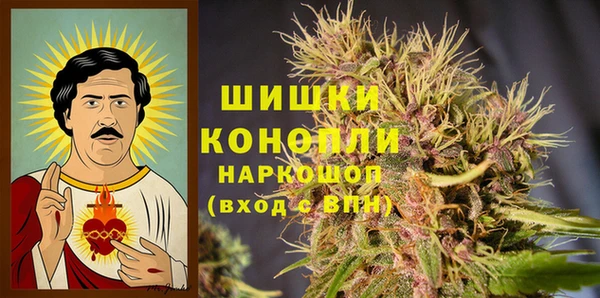 шишки Ельня
