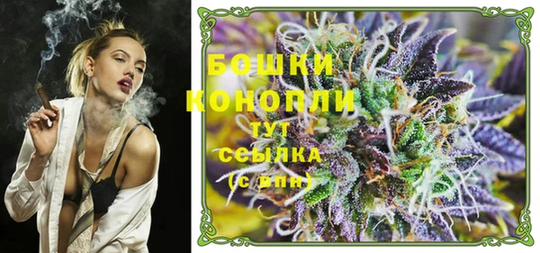 шишки Ельня