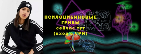 шишки Ельня