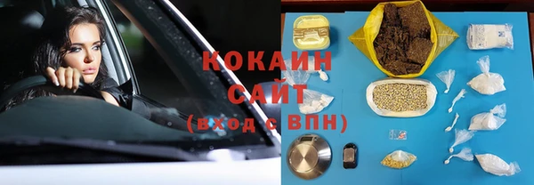 шишки Ельня
