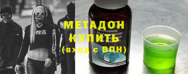 шишки Ельня