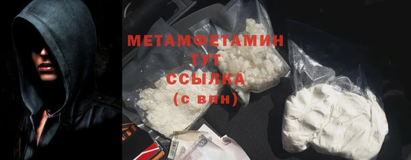 шишки Ельня