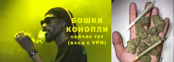 сатива Елабуга