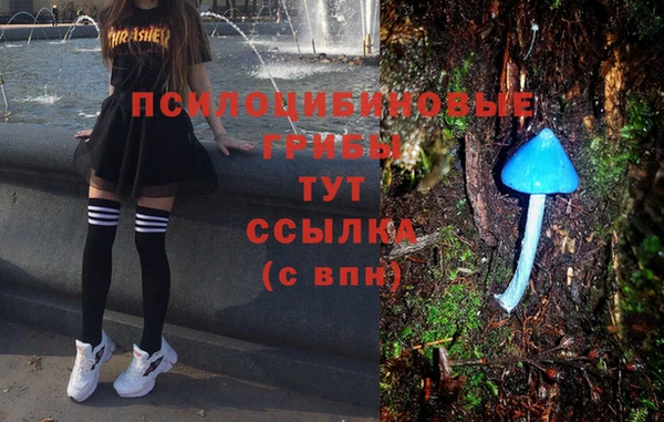 сатива Елабуга