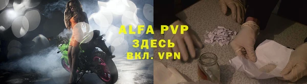 сатива Елабуга