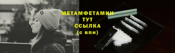 сатива Елабуга