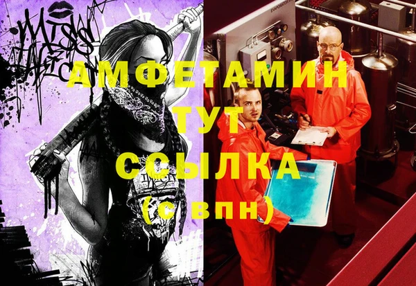 сатива Елабуга