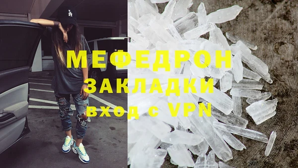 шишки Ельня