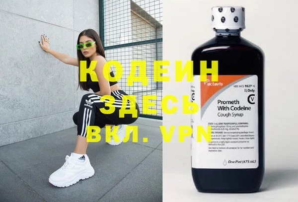 шишки Ельня