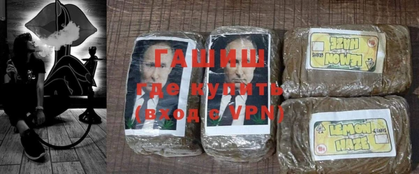 шишки Ельня