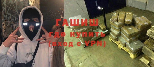 сатива Елабуга