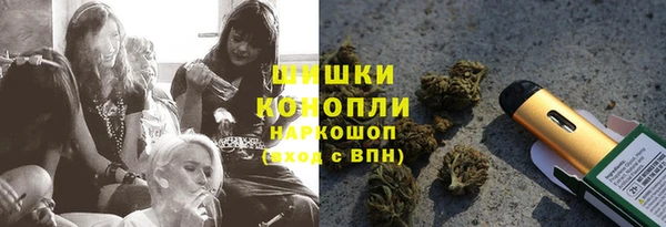 шишки Ельня