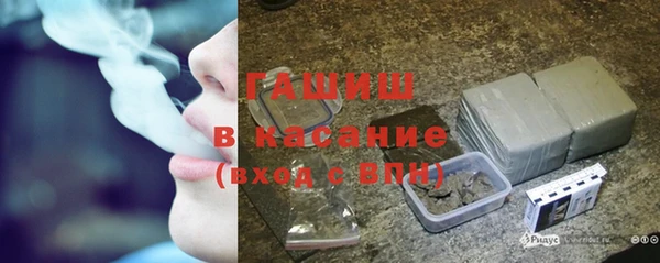шишки Ельня